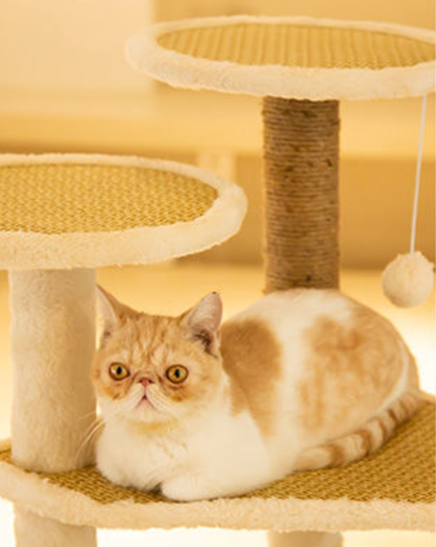 Chenpet High Quality Summer Cat Trees Breathable Cat Playing House