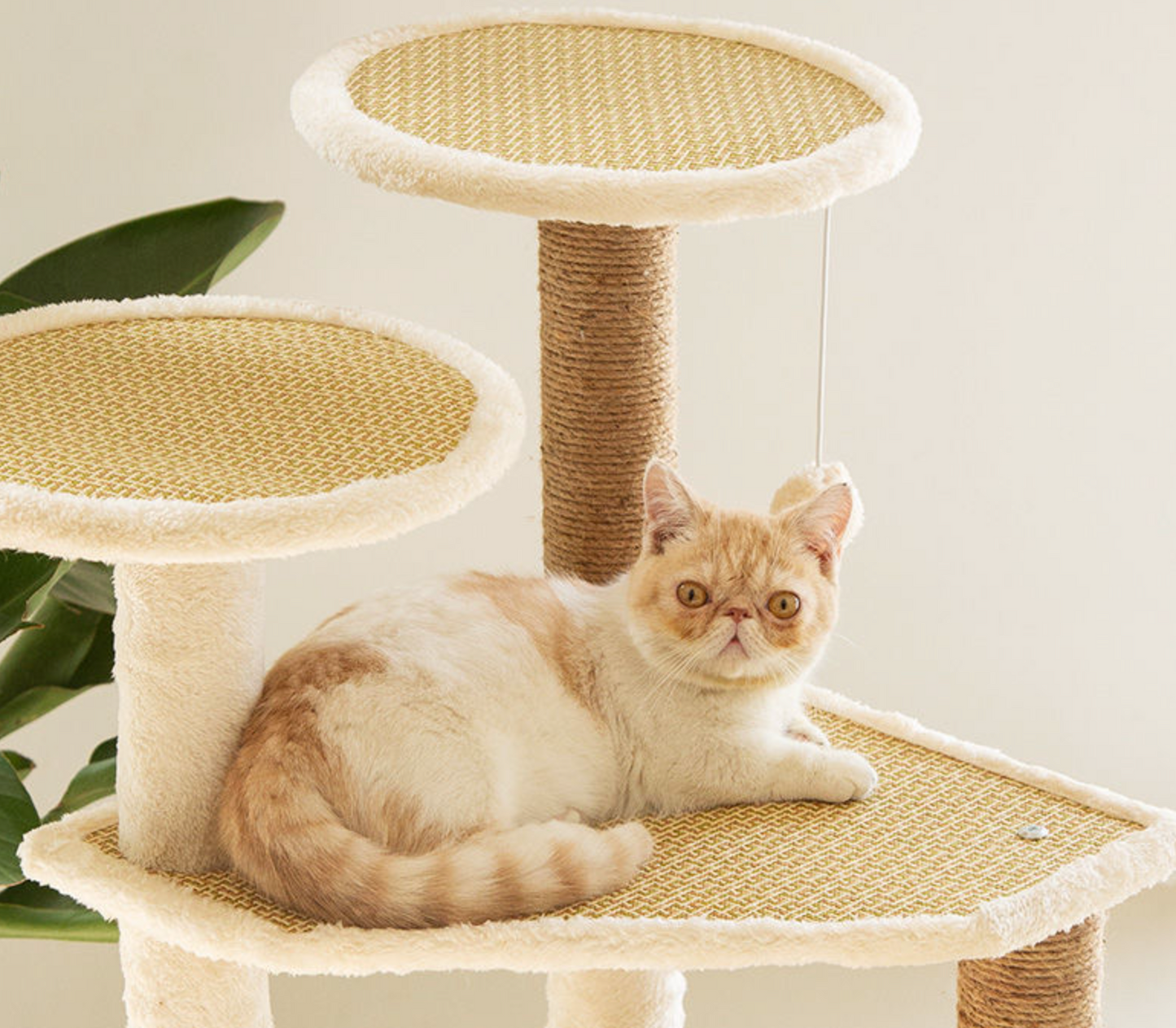Chenpet High Quality Summer Cat Trees Breathable Cat Playing House