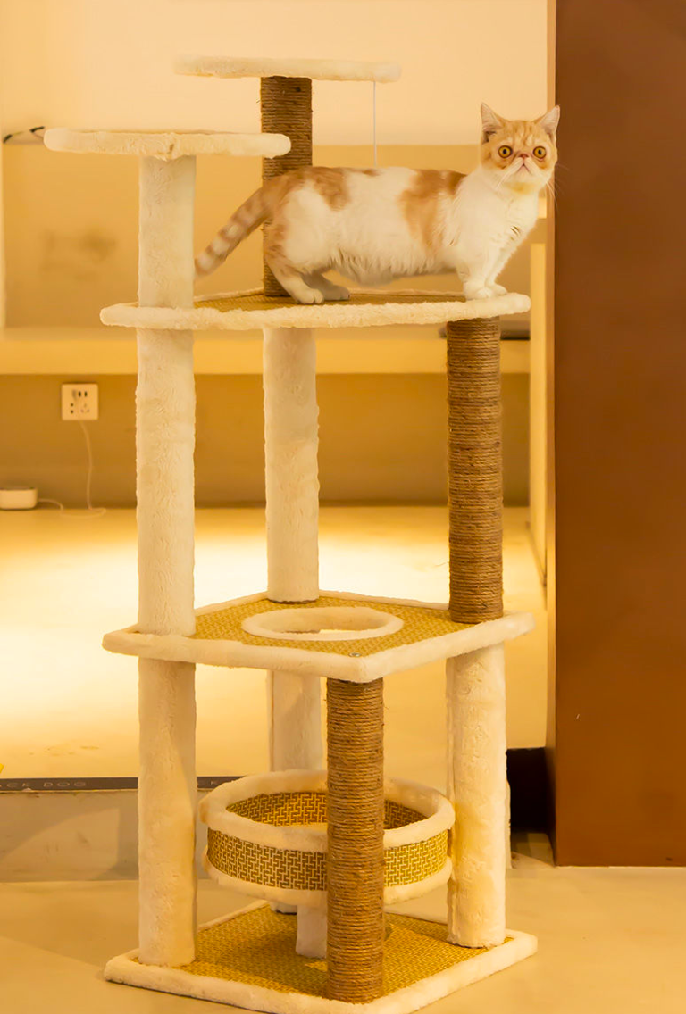 Chenpet High Quality Summer Cat Trees Breathable Cat Playing House