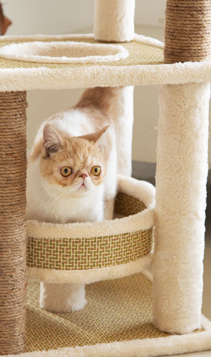Chenpet High Quality Summer Cat Trees Breathable Cat Playing House