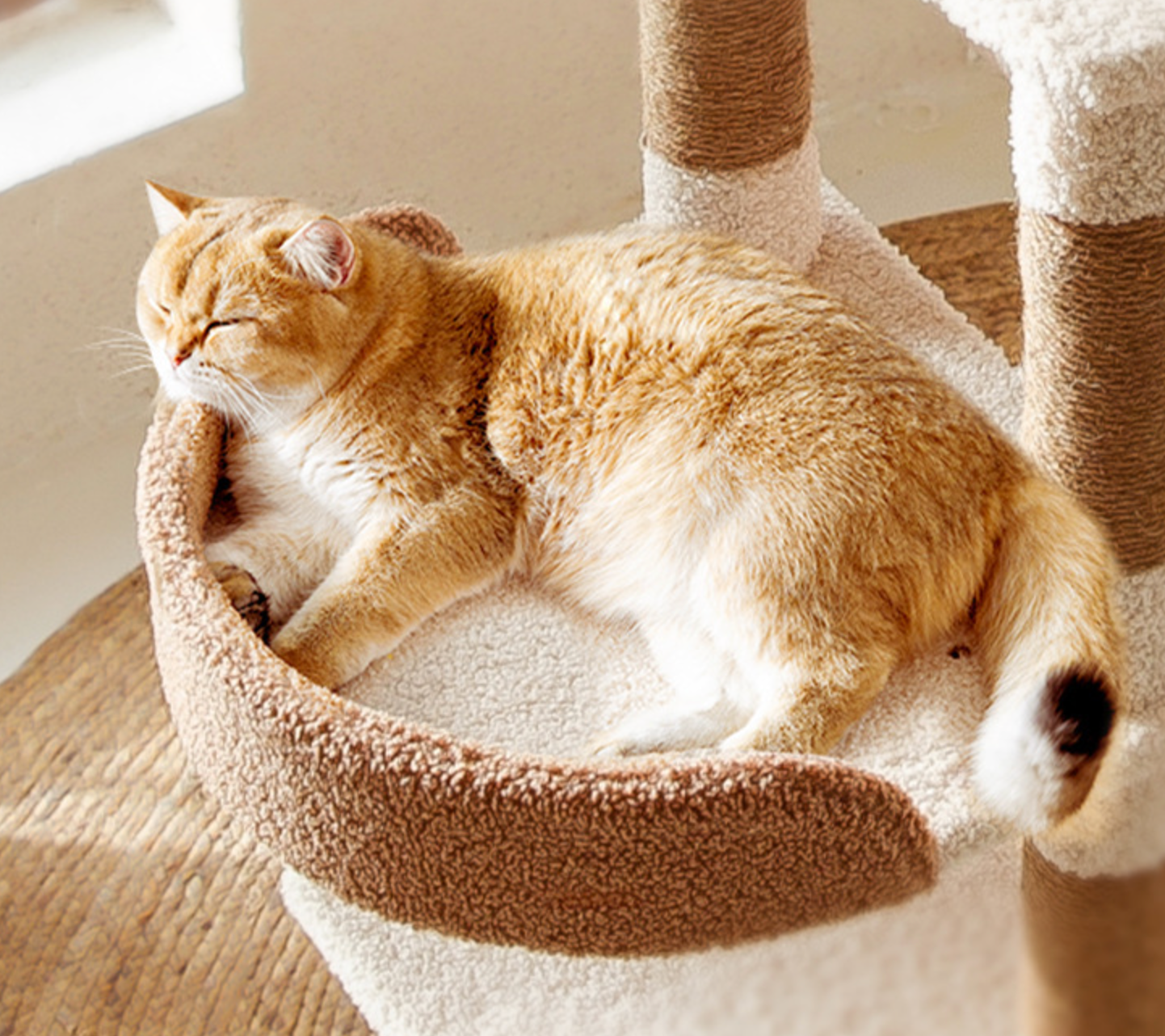 Chenpet Durable Large Cat Trees Cat Play Pet Wooden  House