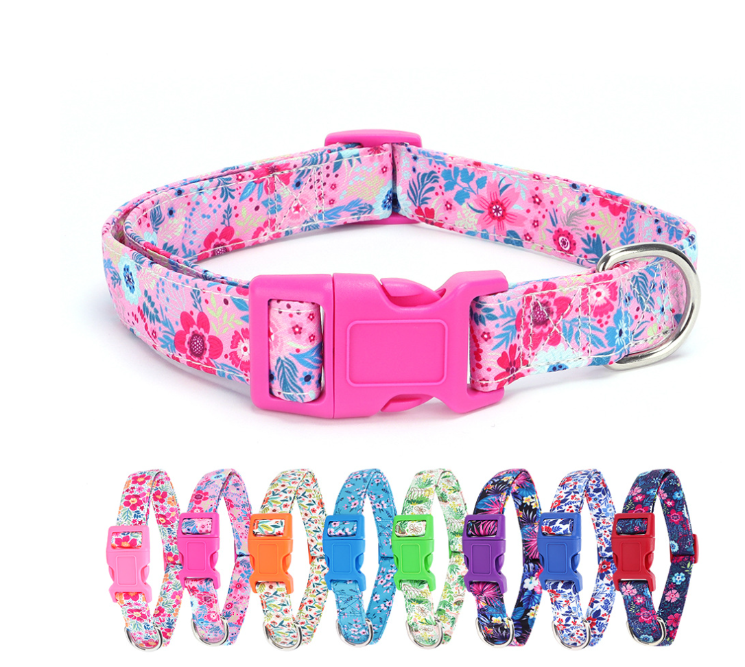 Chenpet Wholesaler Pet Collars Sets Dog Leashes