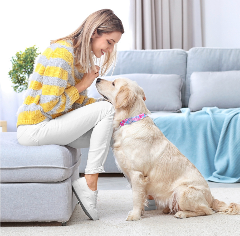 Chenpet Wholesaler Pet Collars Sets Dog Leashes