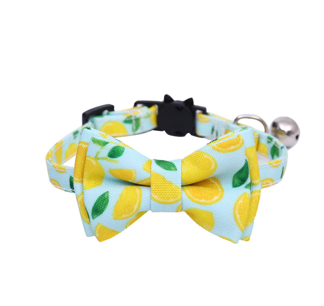 Chenpet Manufacturer Cat Collars Pet Leashes Sets Toys