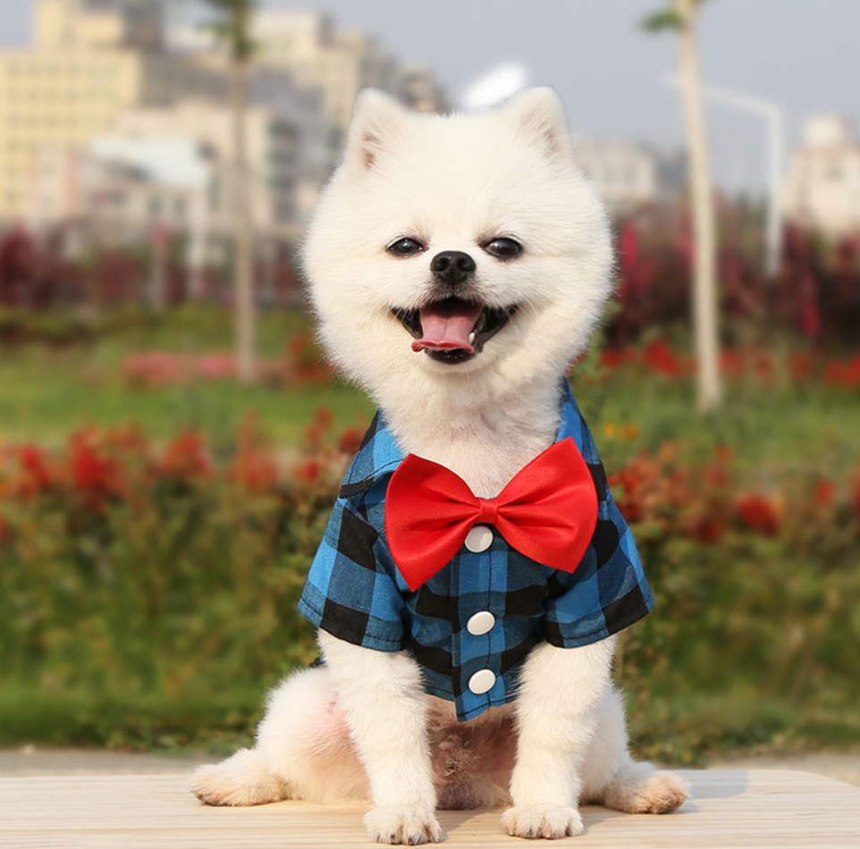Chenpet Customized Pet Apparels Dog Clothes Dog T-shirts