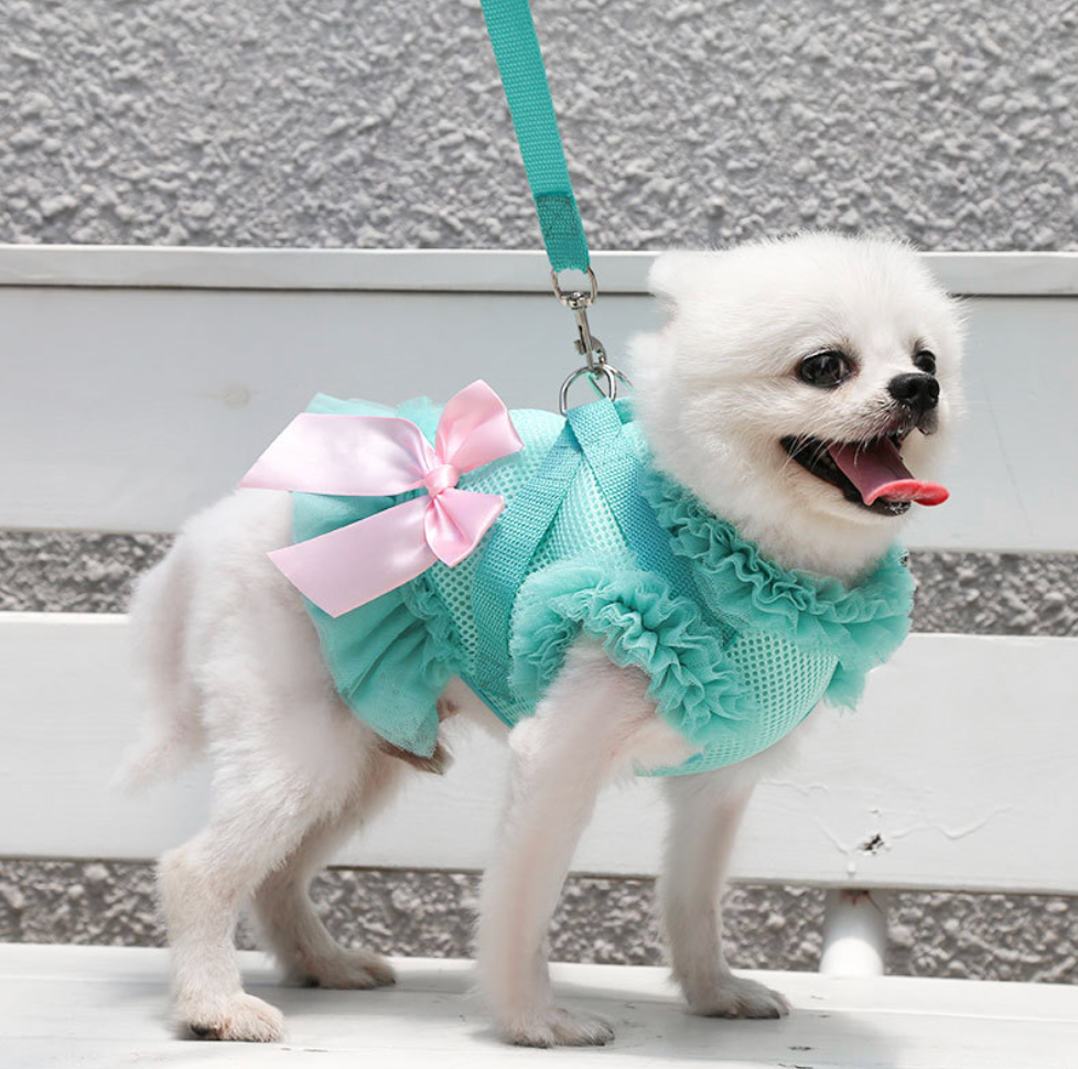 Chenpet Wholesaler Pet Summer Clothes Dog Dresses