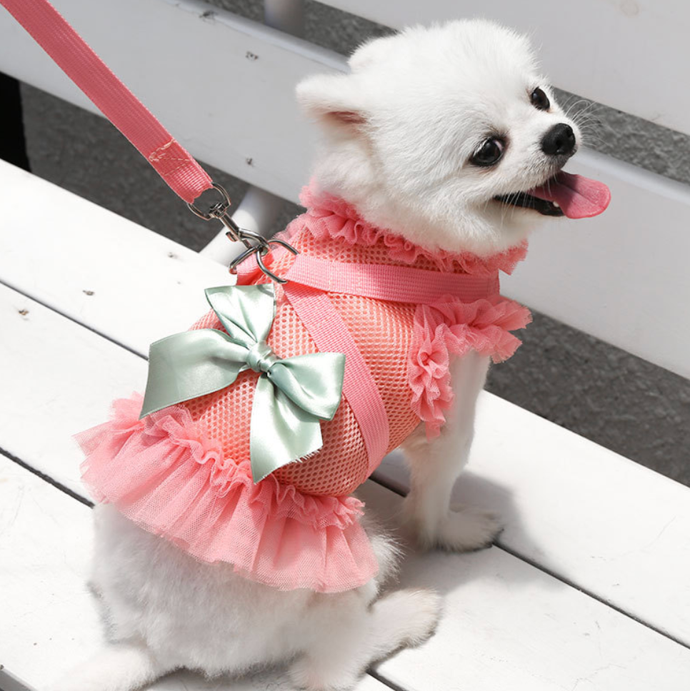 Chenpet Wholesaler Pet Summer Clothes Dog Dresses