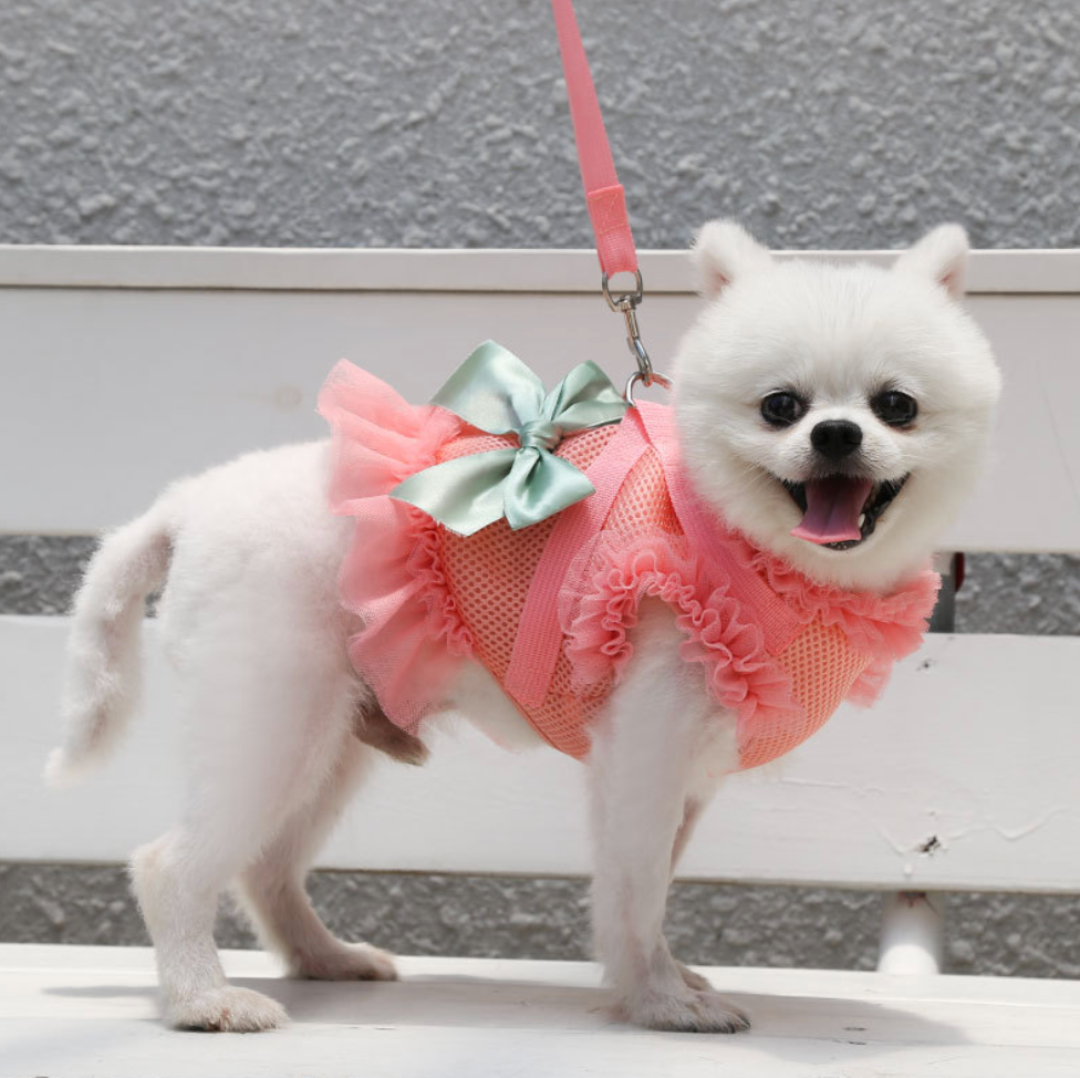 Chenpet Wholesaler Pet Summer Clothes Dog Dresses