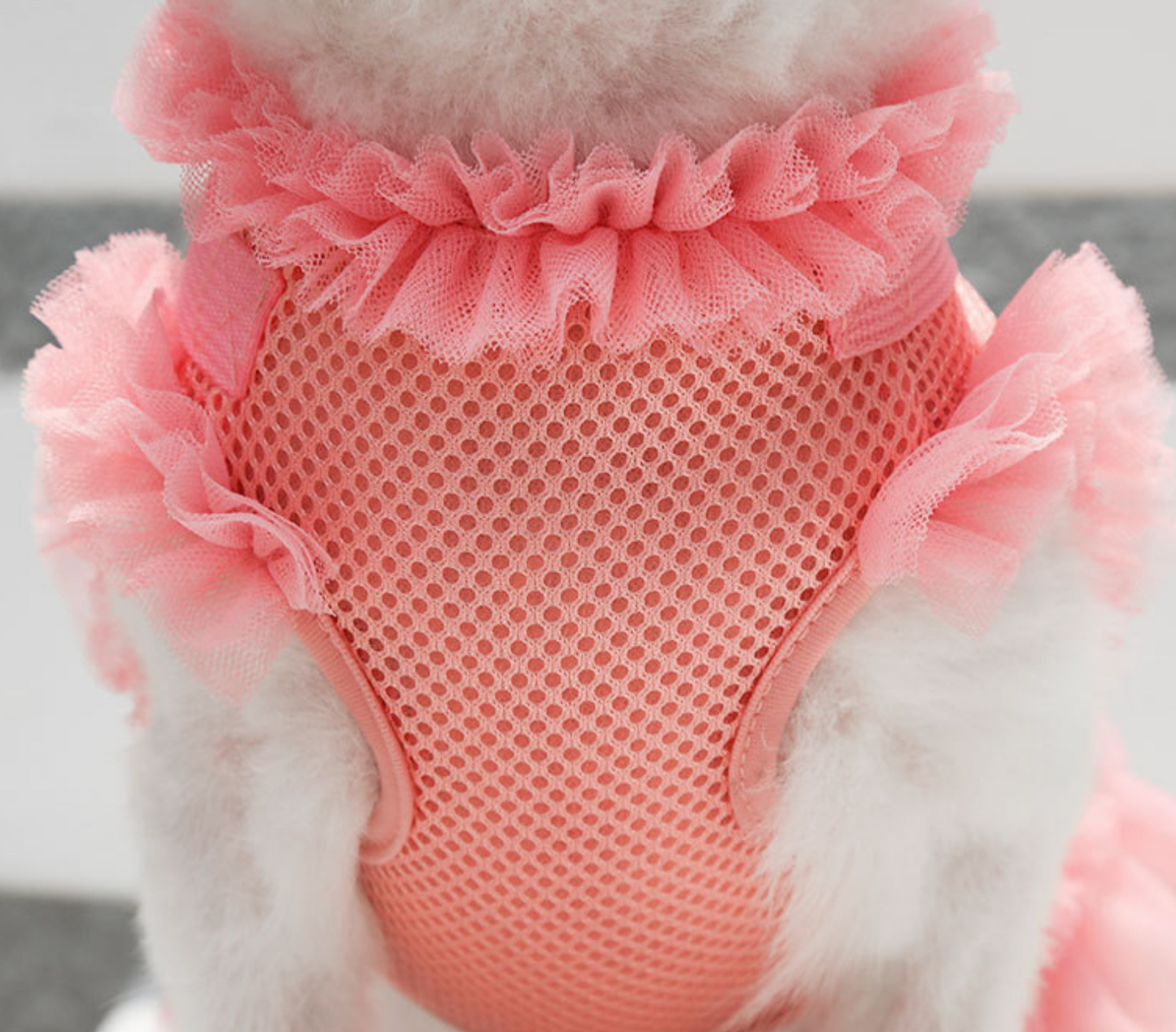 Chenpet Wholesaler Pet Summer Clothes Dog Dresses