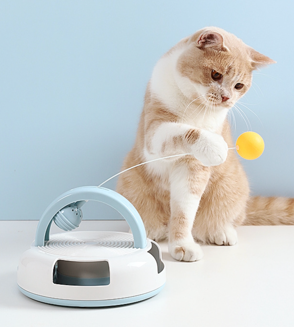 Chenpet New Arrival Table Tennis Cat Play PP Toys