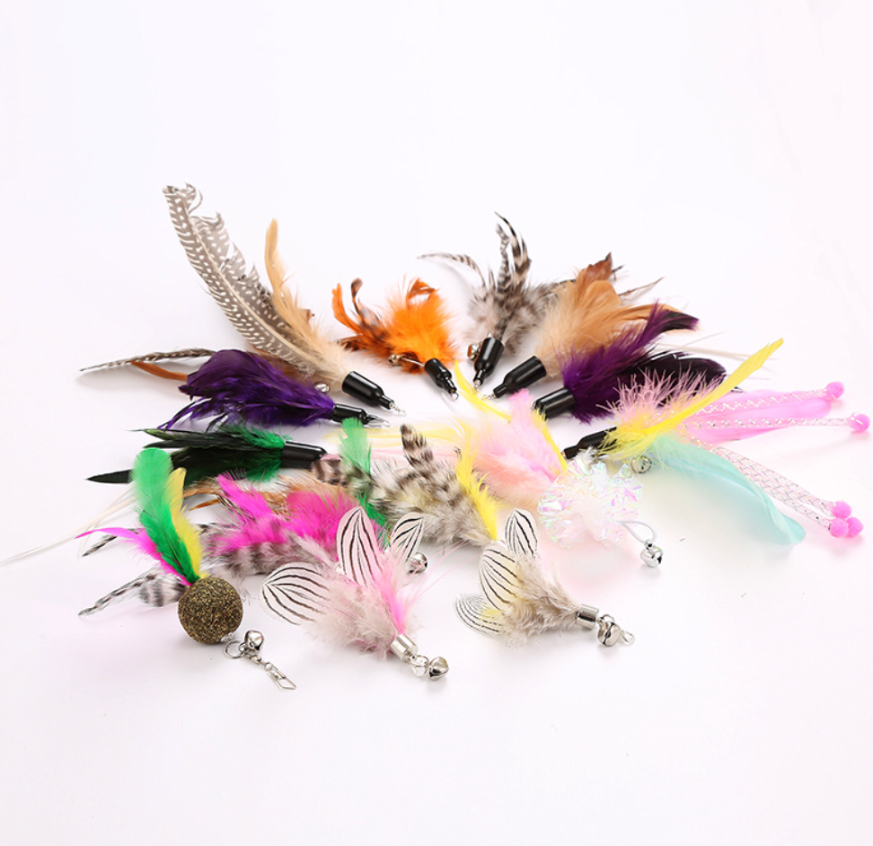 Chenpet Wholesale Feather Style Cat Toys Cat Play