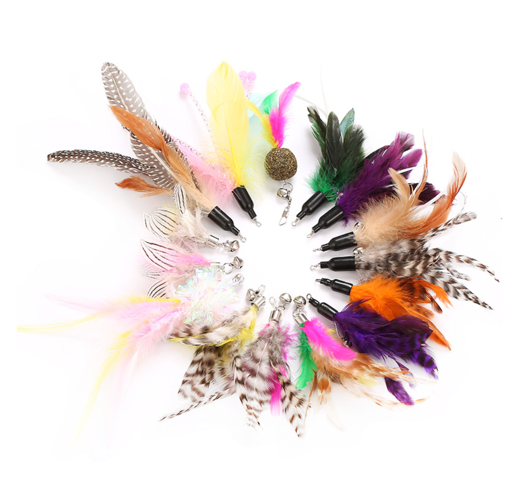 Chenpet Wholesale Feather Style Cat Toys Cat Play