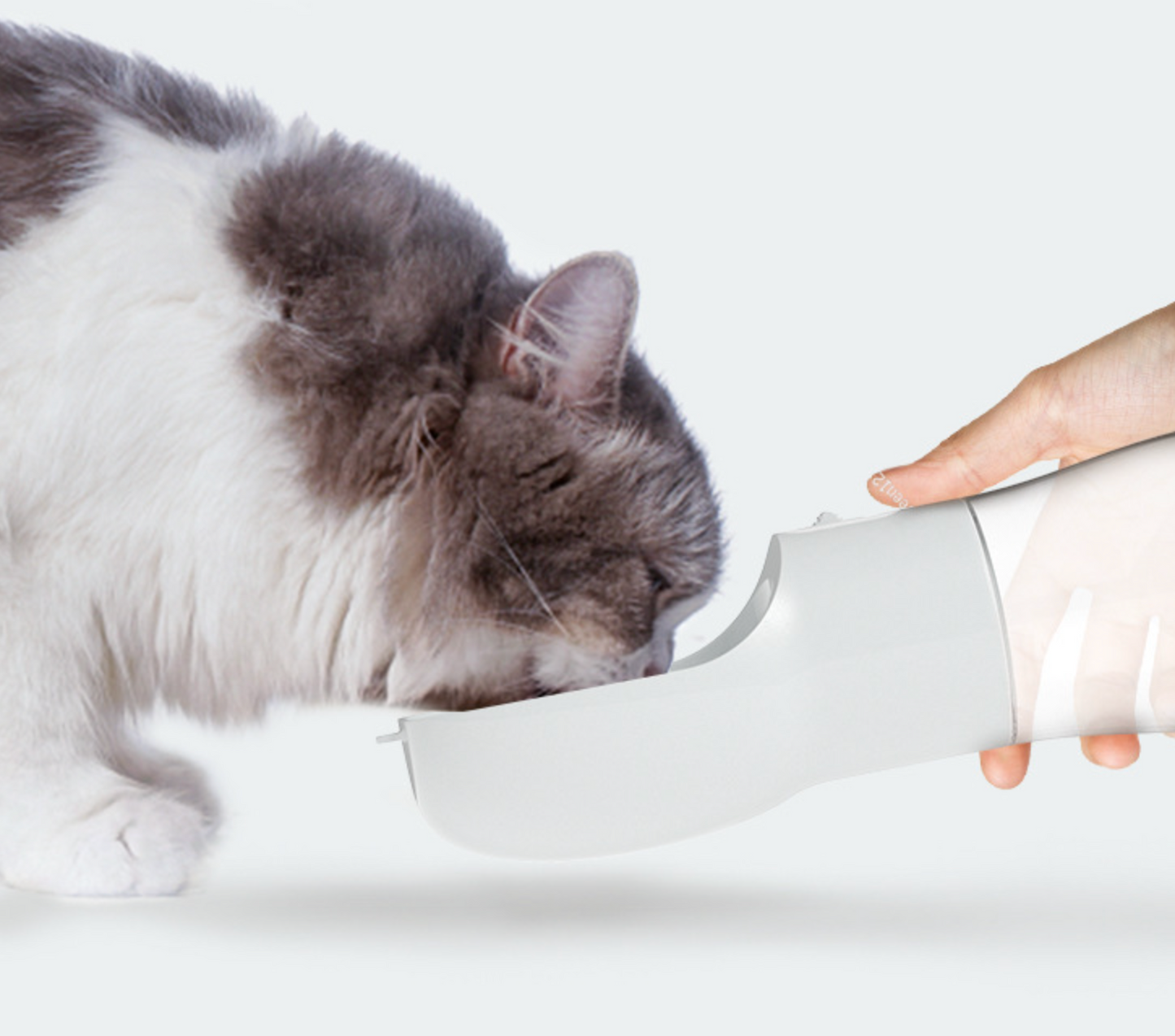 Wholesale Durable Pet Water Outside Cup Dog Water Bowls