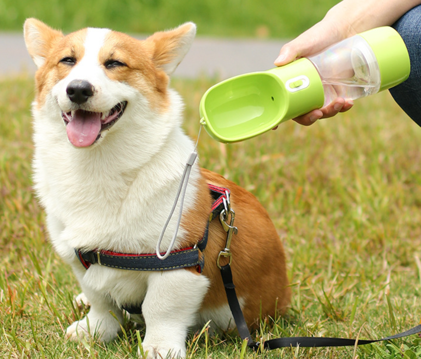 Wholesale Durable Pet Water Outside Cup Dog Water Bowls