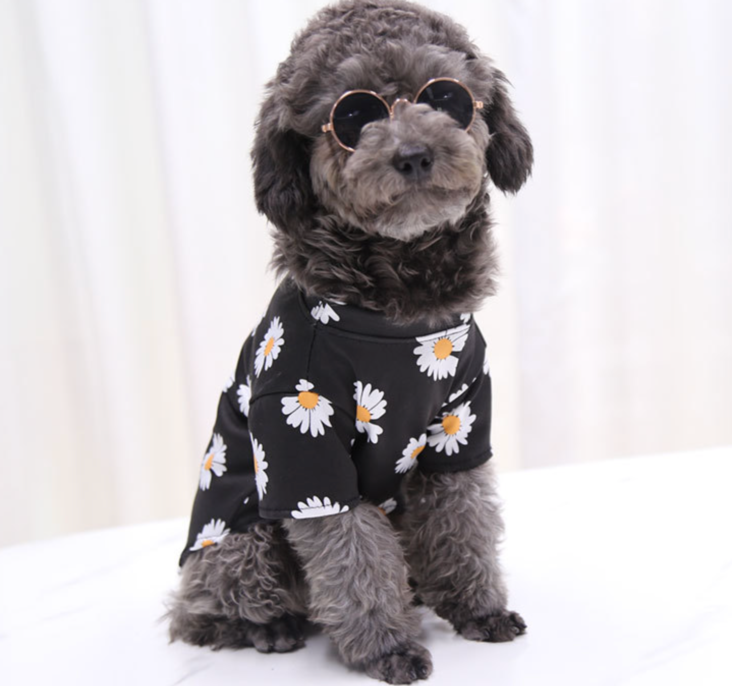 Chenpet Wholesale Cotton Pet Wear Dog Apparels Cat Clothes
