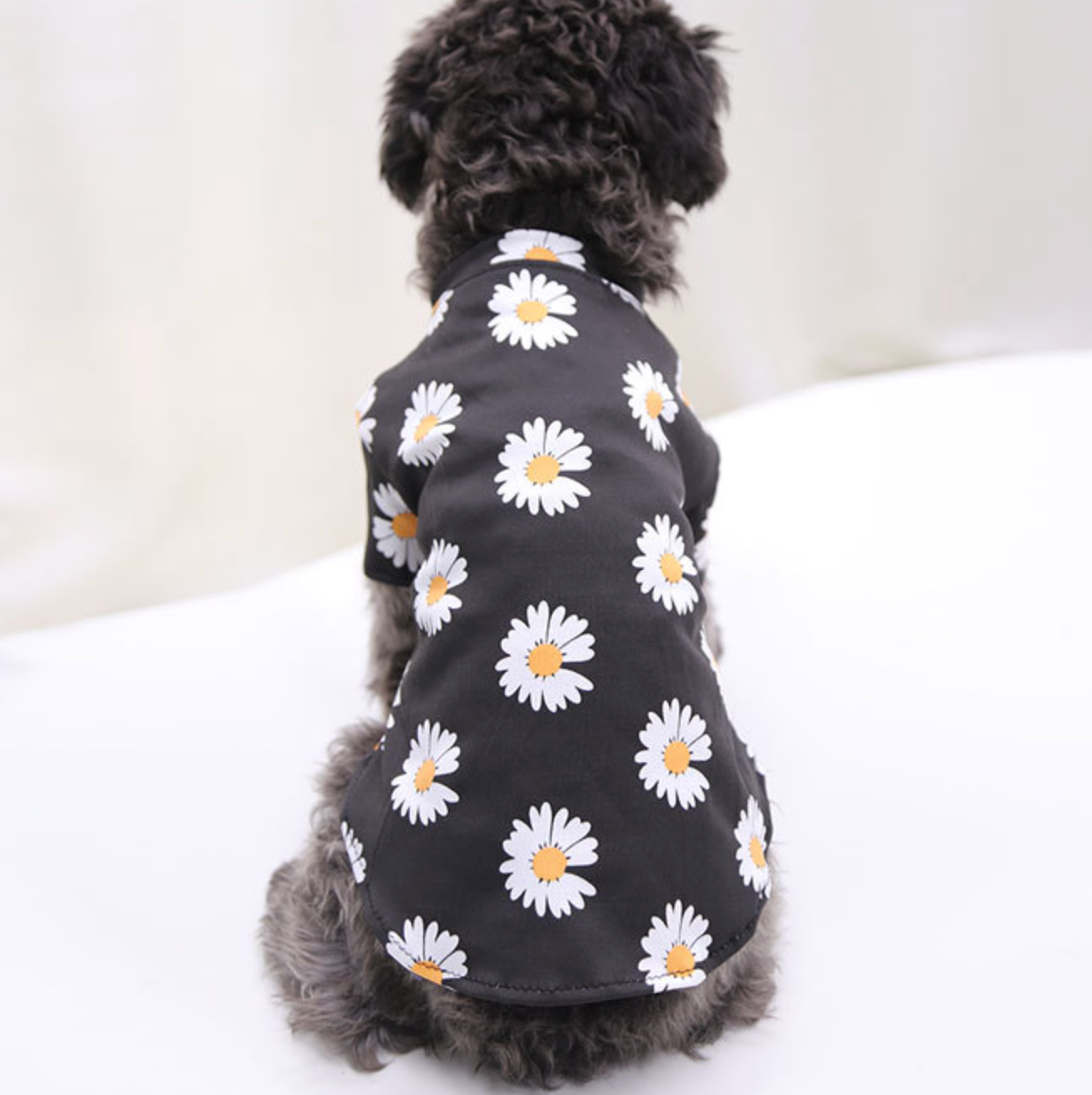 Chenpet Wholesale Cotton Pet Wear Dog Apparels Cat Clothes