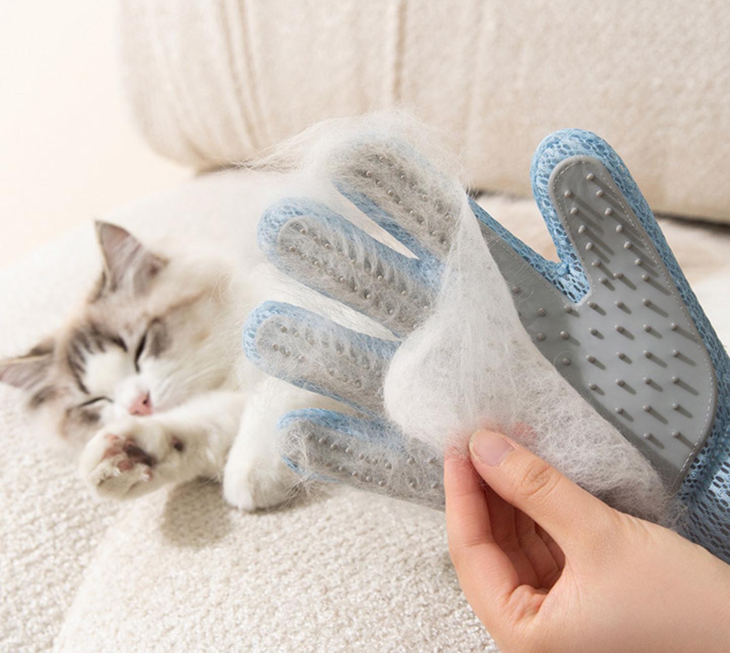 Chenpet Wholesale Cat Grooming Gloves Clean Tools