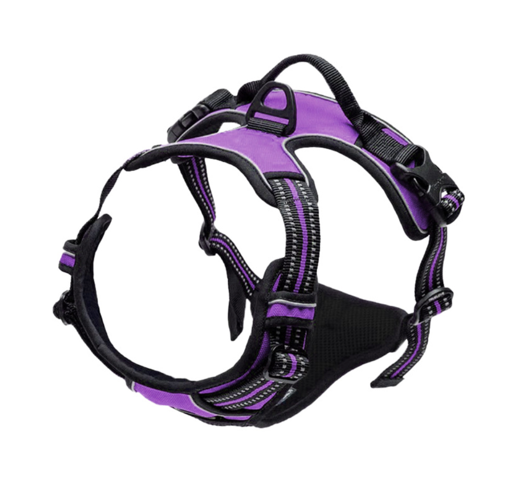 Chenpet Wholesale Custom Pet Harness Sets Dog Accessories