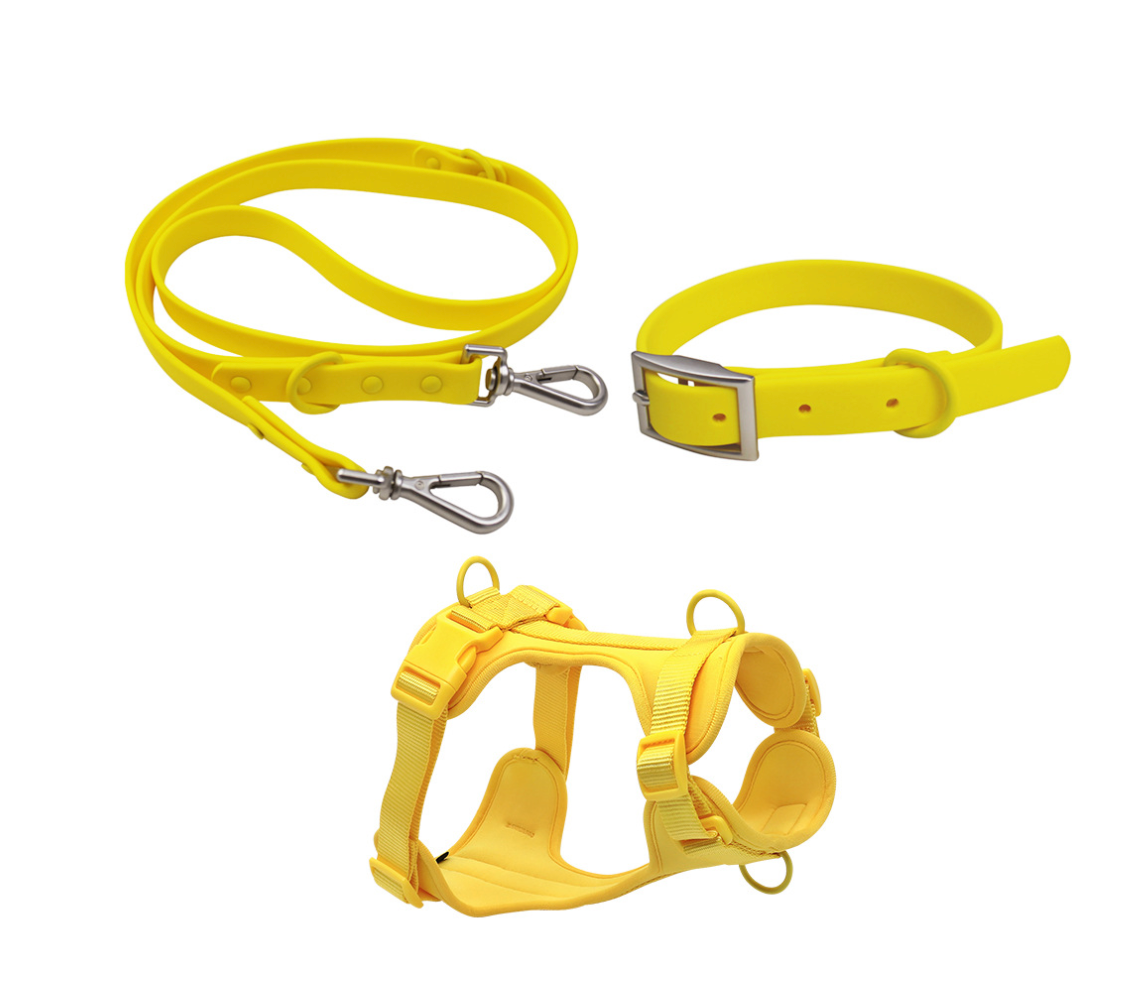 Chenpet Custom Pet Accessoires Dog Harness Sets