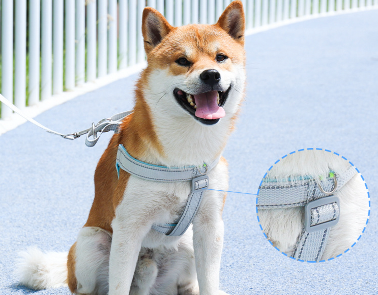 Chenpet Wholesale Pet Collars Dog Accessories Sets