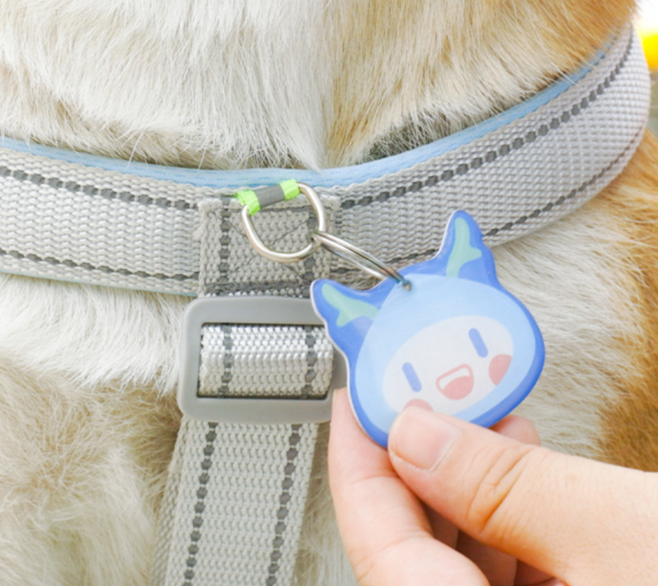 Chenpet Wholesale Pet Collars Dog Accessories Sets