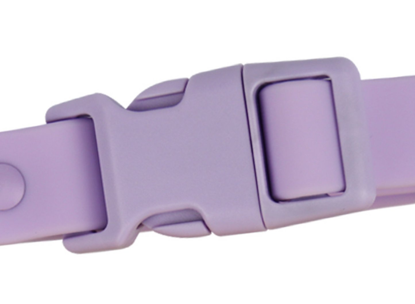 Chenpet Wholesale Custom Pet PVC Collars Pet Leashes Dog Accessories