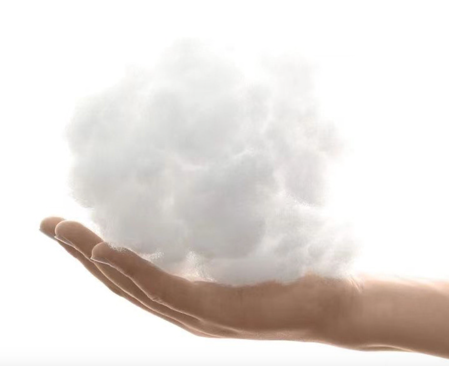 Chenpet Custom Manufacturer Pet Beds Dog Beds