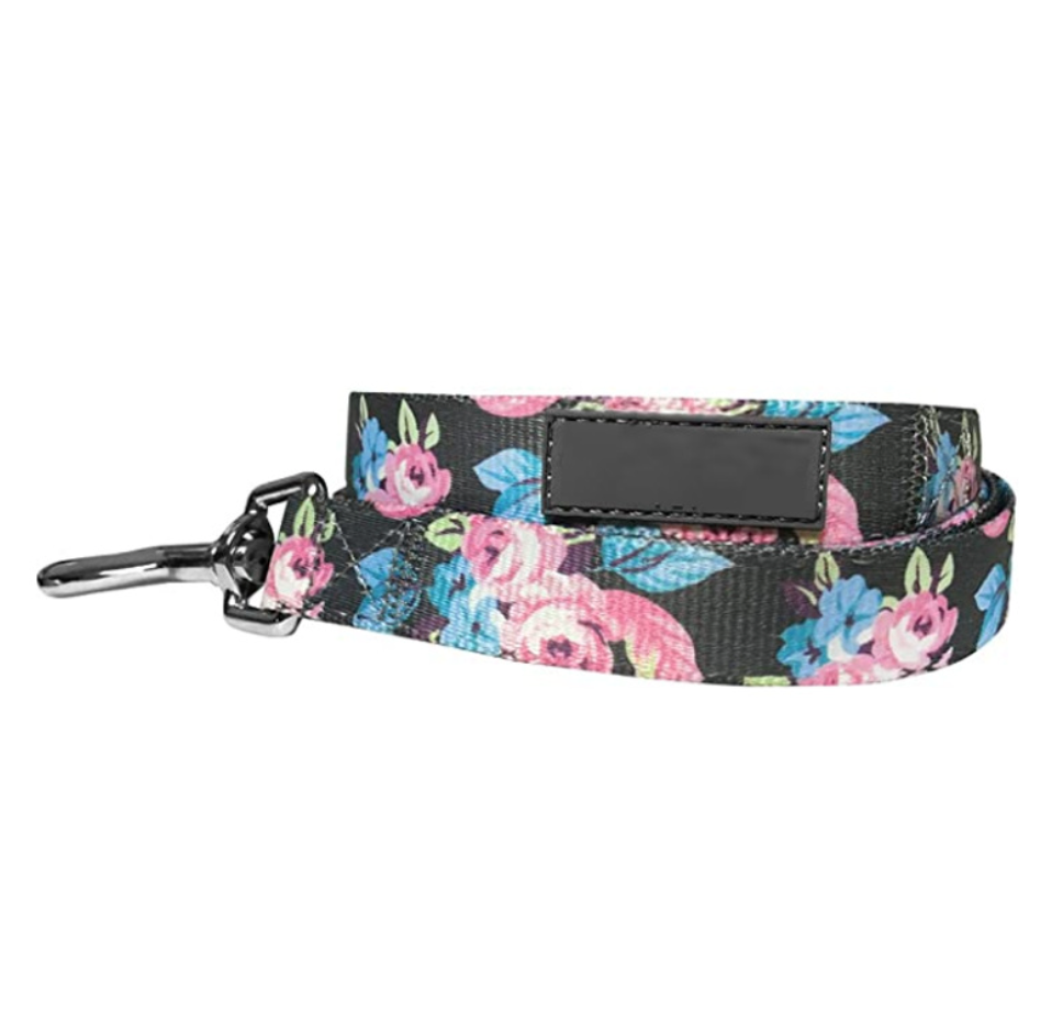 Chenpet Wholesale Nylon Pet Leashes Dog Custom Patterns Leashes