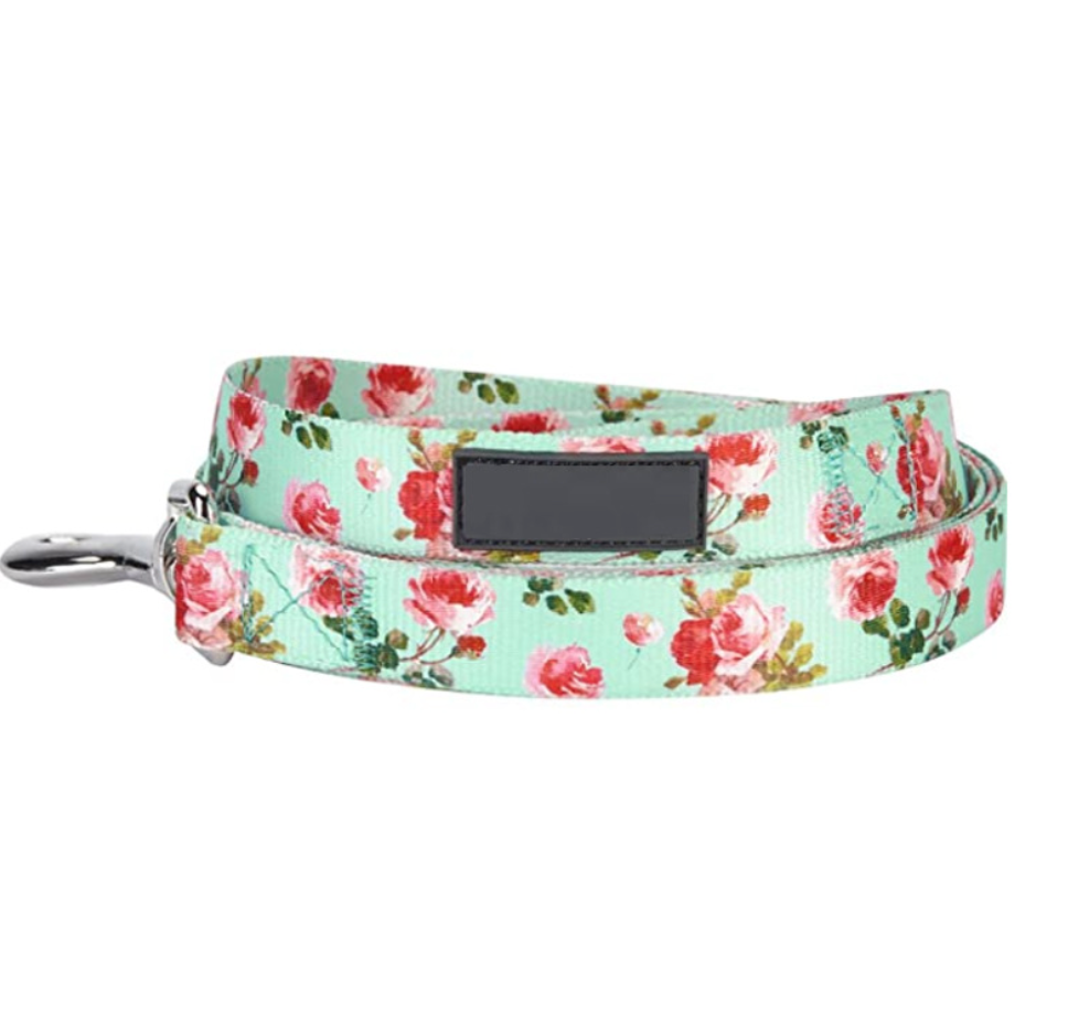 Chenpet Wholesale Nylon Pet Leashes Dog Custom Patterns Leashes