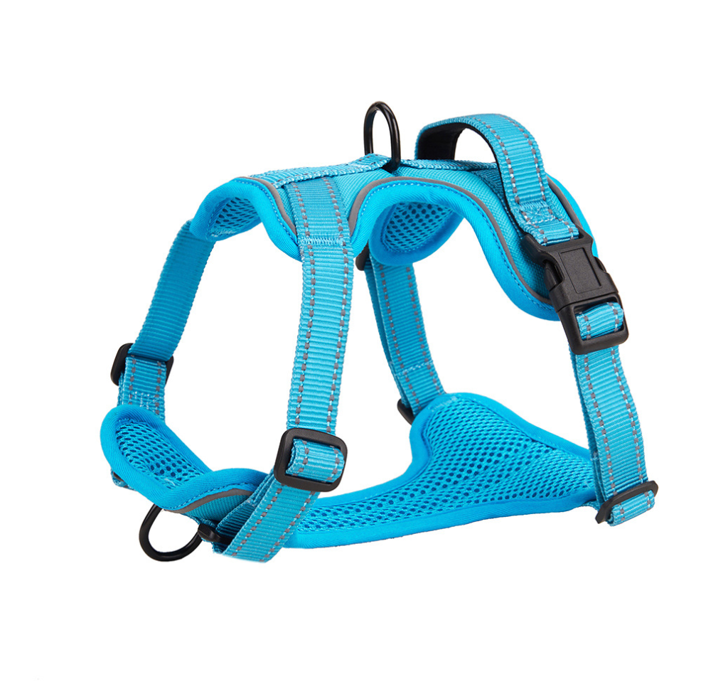 Chenpet Breathable Pet Harness Colorful Dog Custom Accessories