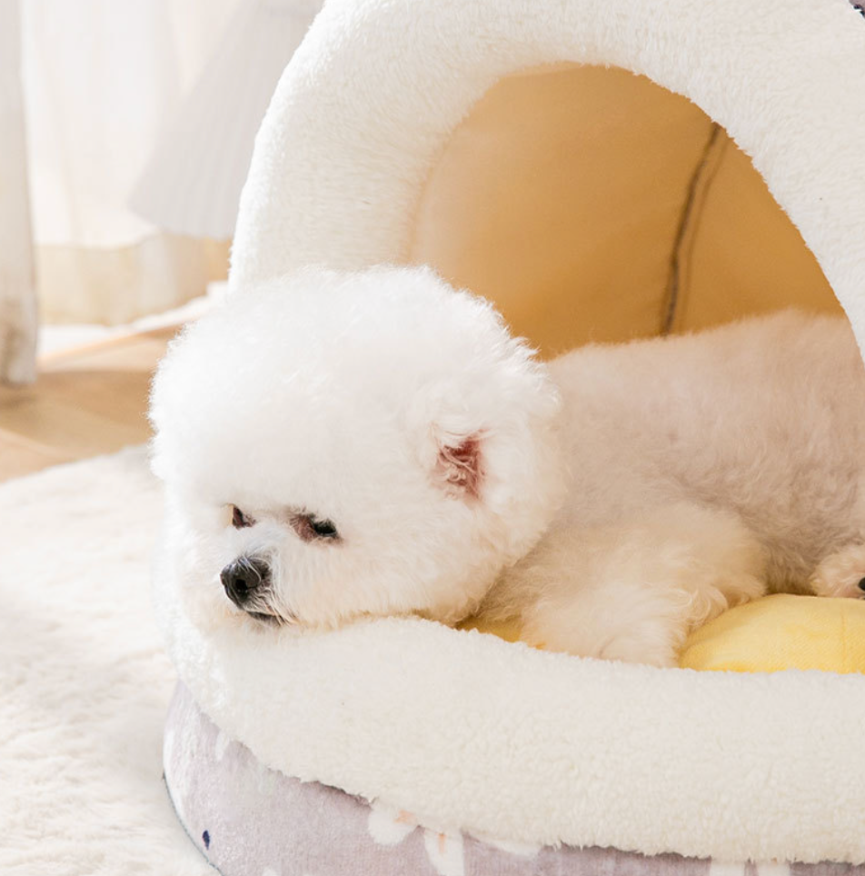 Chenpet Custom New Design Of Pet House Dog Beds