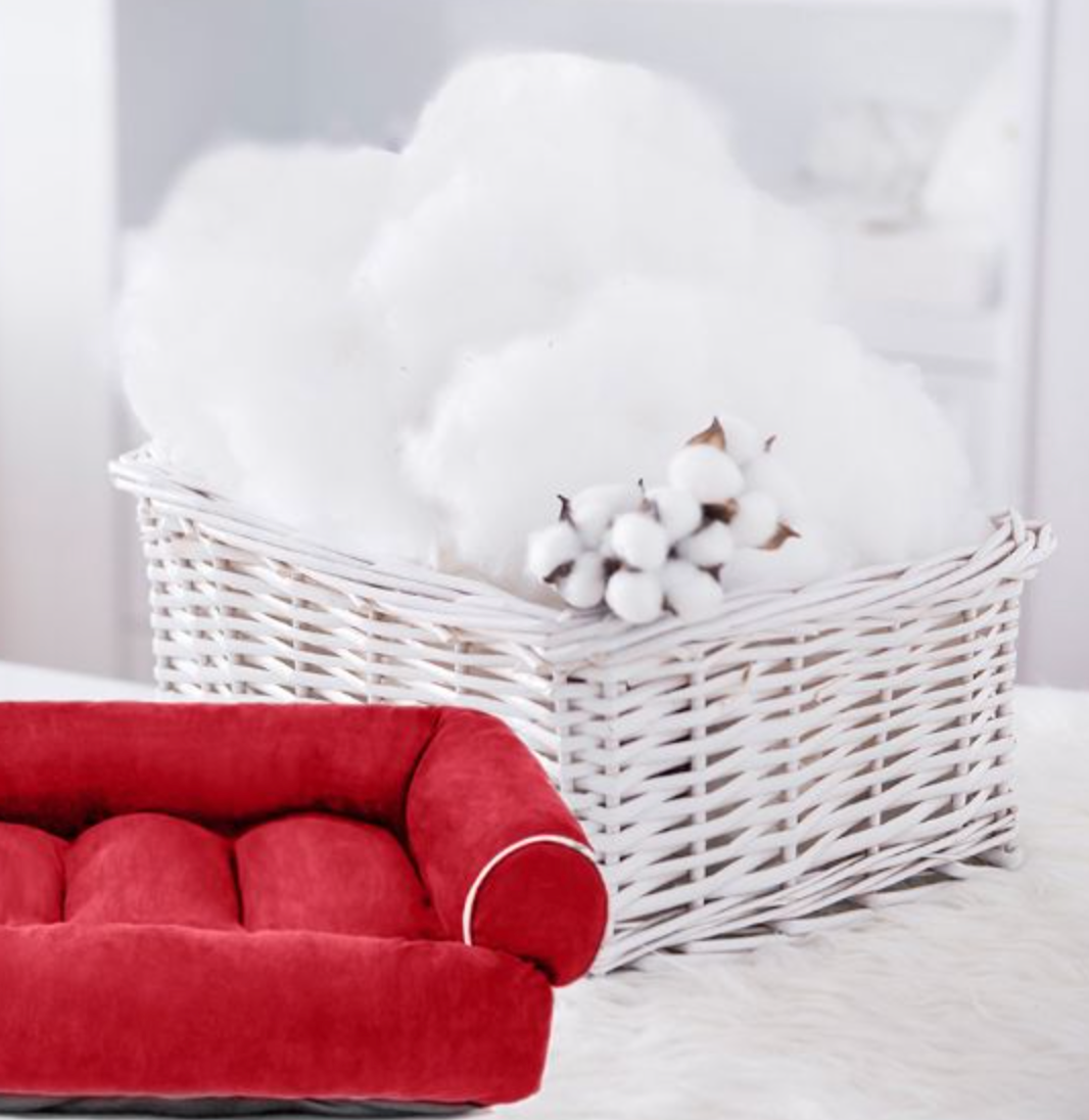 Chenpet High Quality Pet Sofa Designs Dog Beds