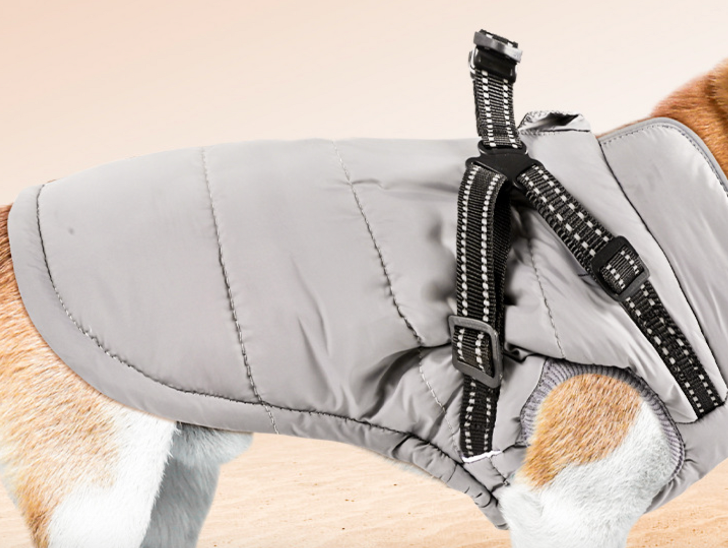 Chenpet Wholesale Pet Warm Clothes Dog Apparels