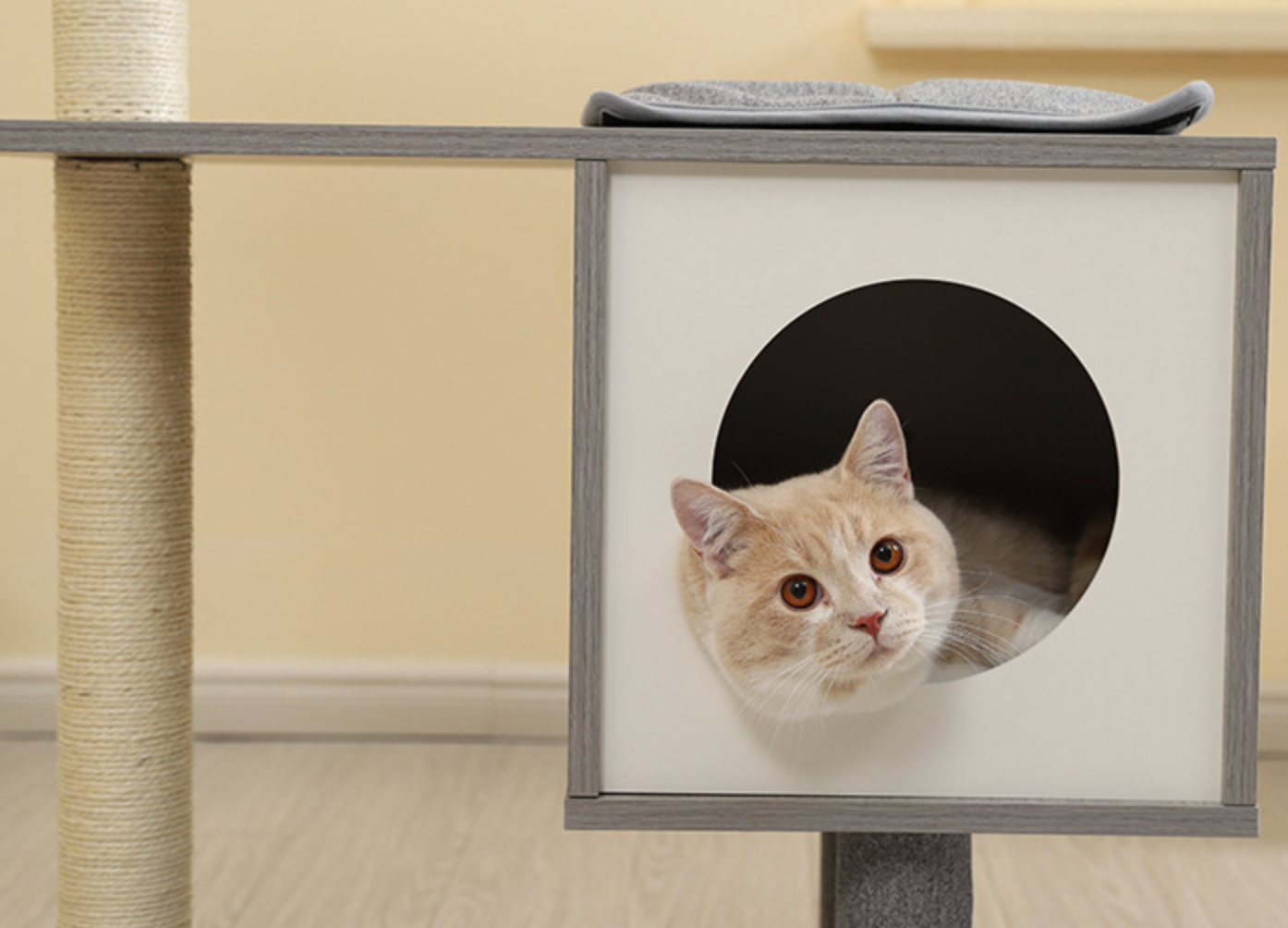 Chenpet Druable Large Cat Trees Pet House