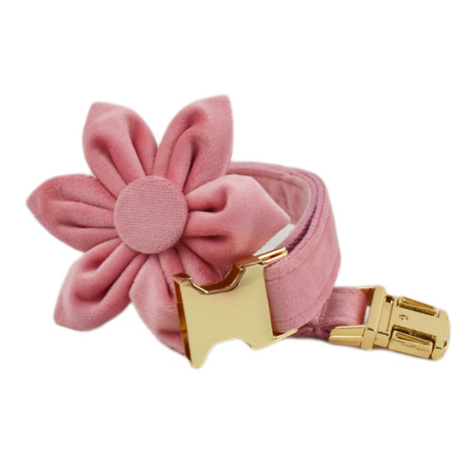 Chenpet New Design Pink Velvet Pet Accessories Dog Collars Leashes