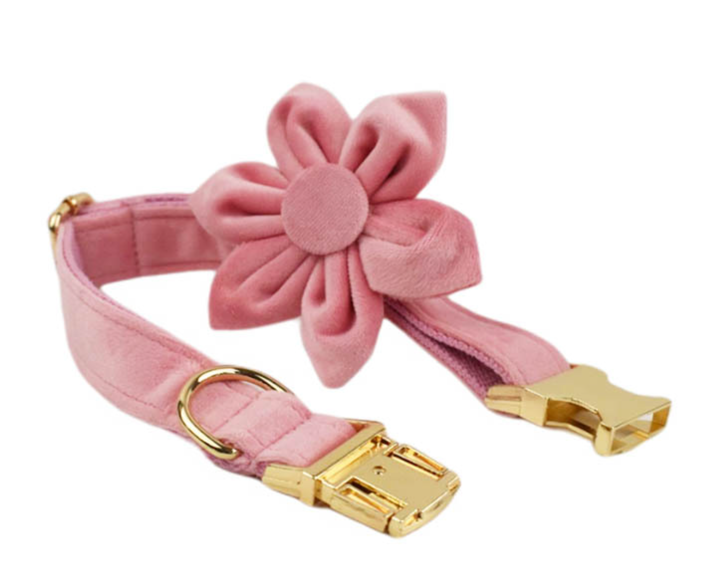 Chenpet New Design Pink Velvet Pet Accessories Dog Collars Leashes