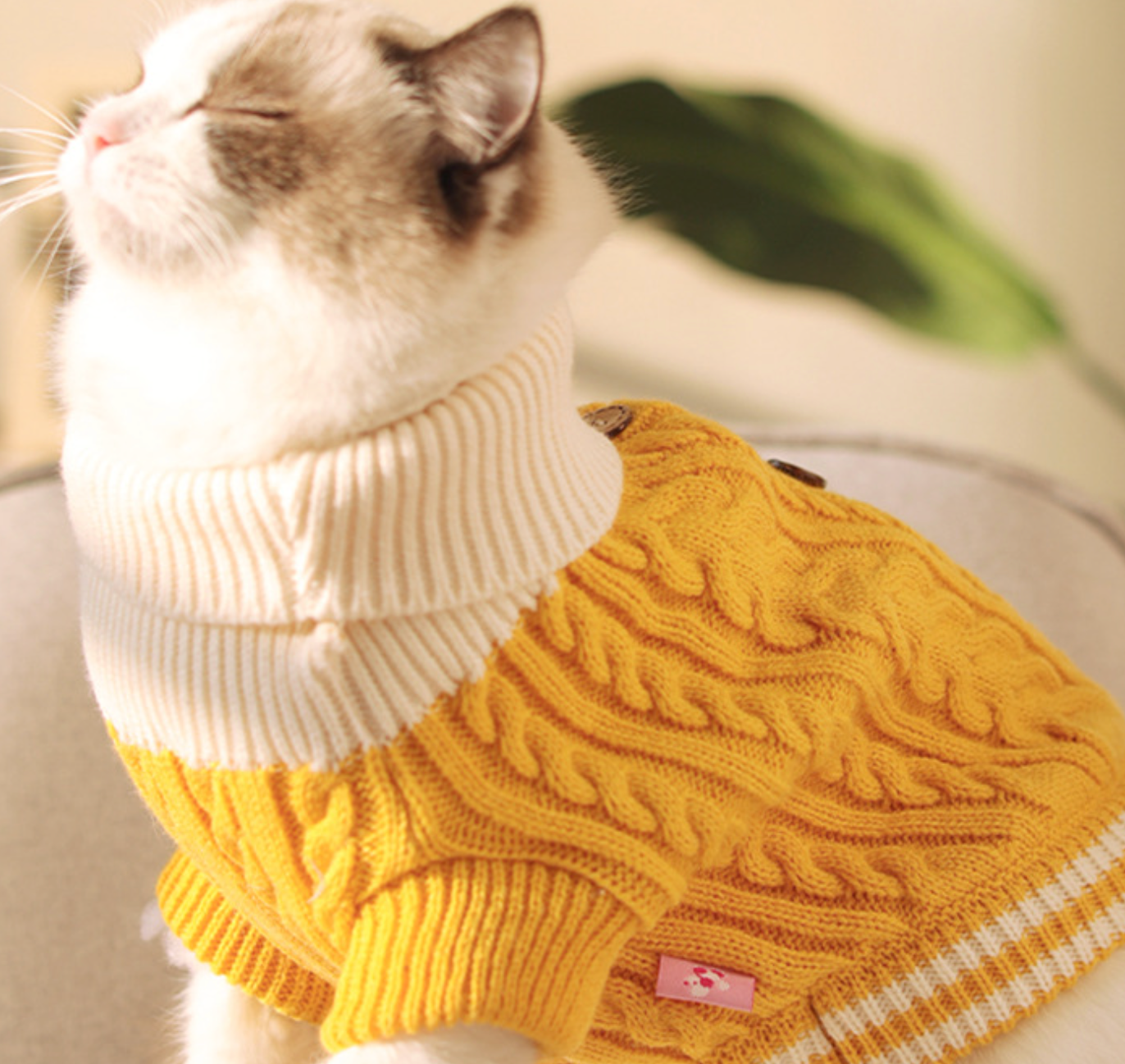 Chenpet Custom Pet Knit Wear Dog Winter Clothes Pet Apparels