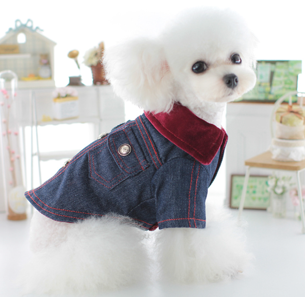 Chenpet New Design Of Jean Style Pet Clothes Dog Apparels