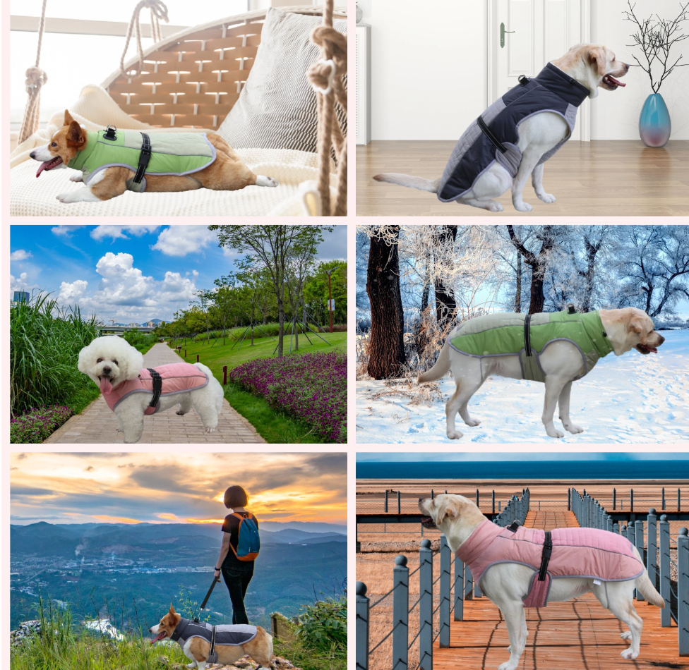 Chenpet Wholesale Durable Pet Winter Apparels Dog Clothes