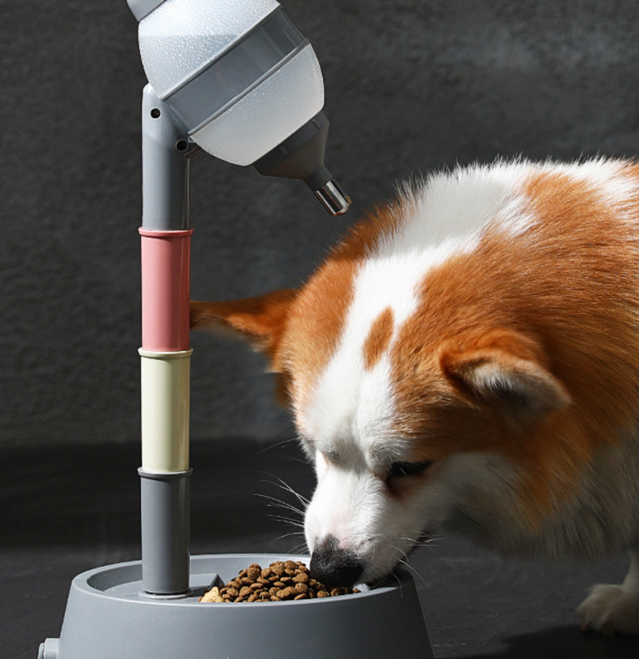 Chenpet Amazon Hot Selling Dispenser Dog Feeding Bowl Cat Water Bottle Knuckle Lick Tumbler Drinker
