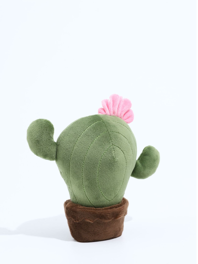 Chenpet High Quality Cactus Pet Plush Chew Toys