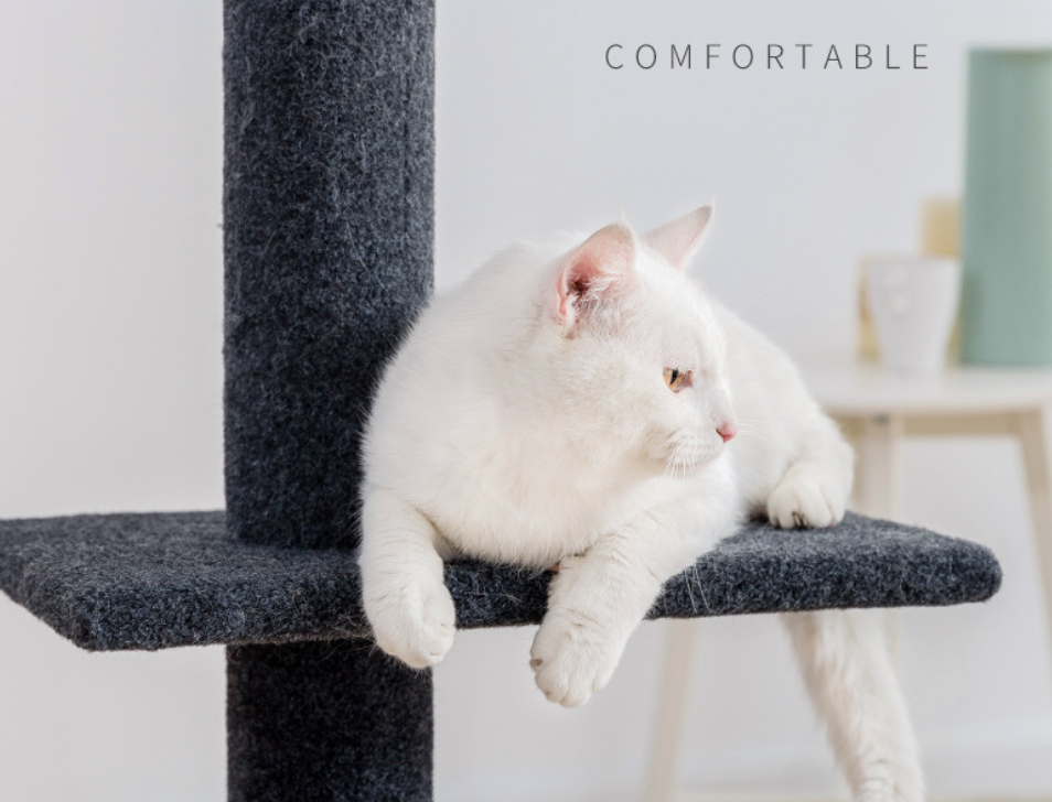 Chenpet Top Cat Climbing Frame Thickened And Stable Large Cat Jumping Platform Cat Tree