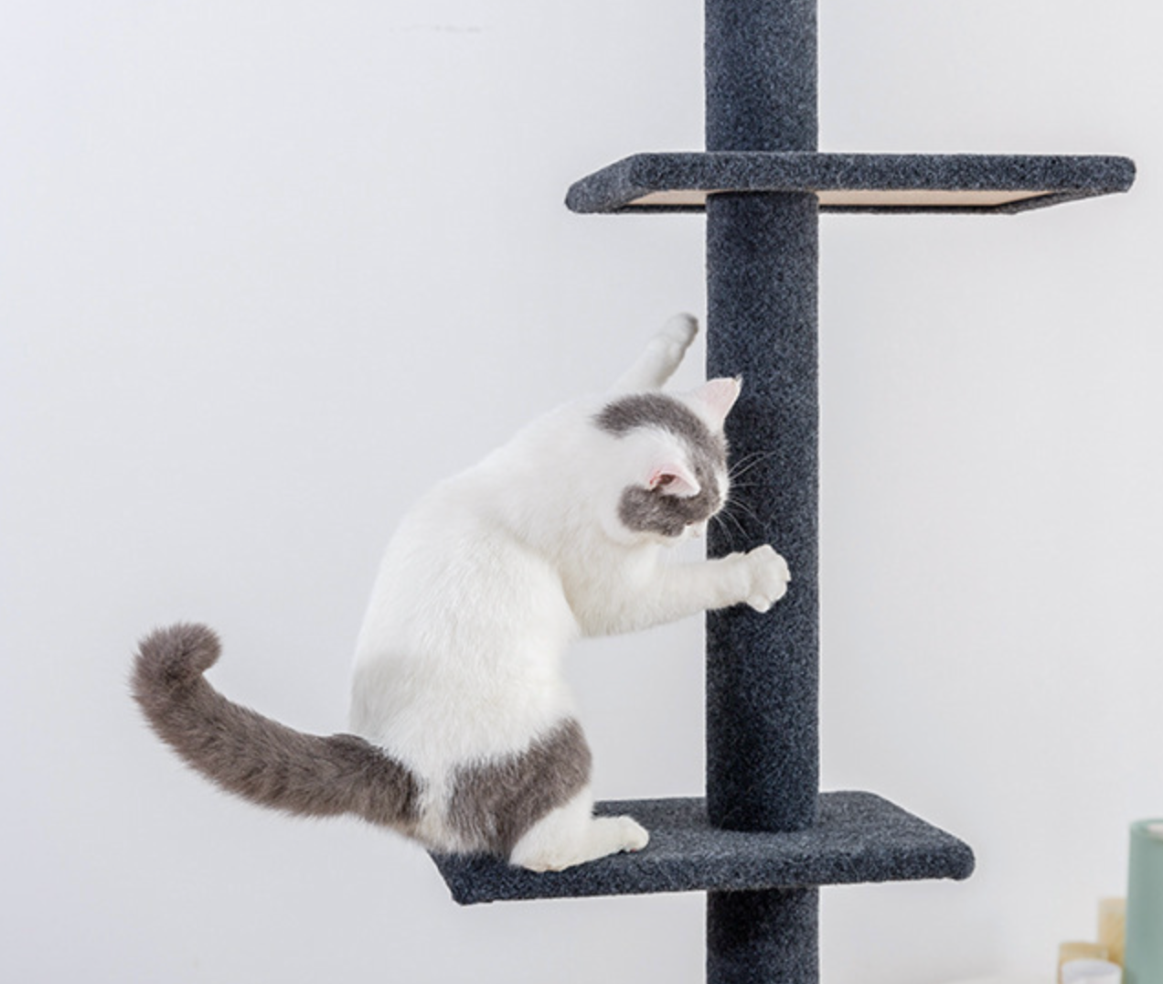 Chenpet Top Cat Climbing Frame Thickened And Stable Large Cat Jumping Platform Cat Tree