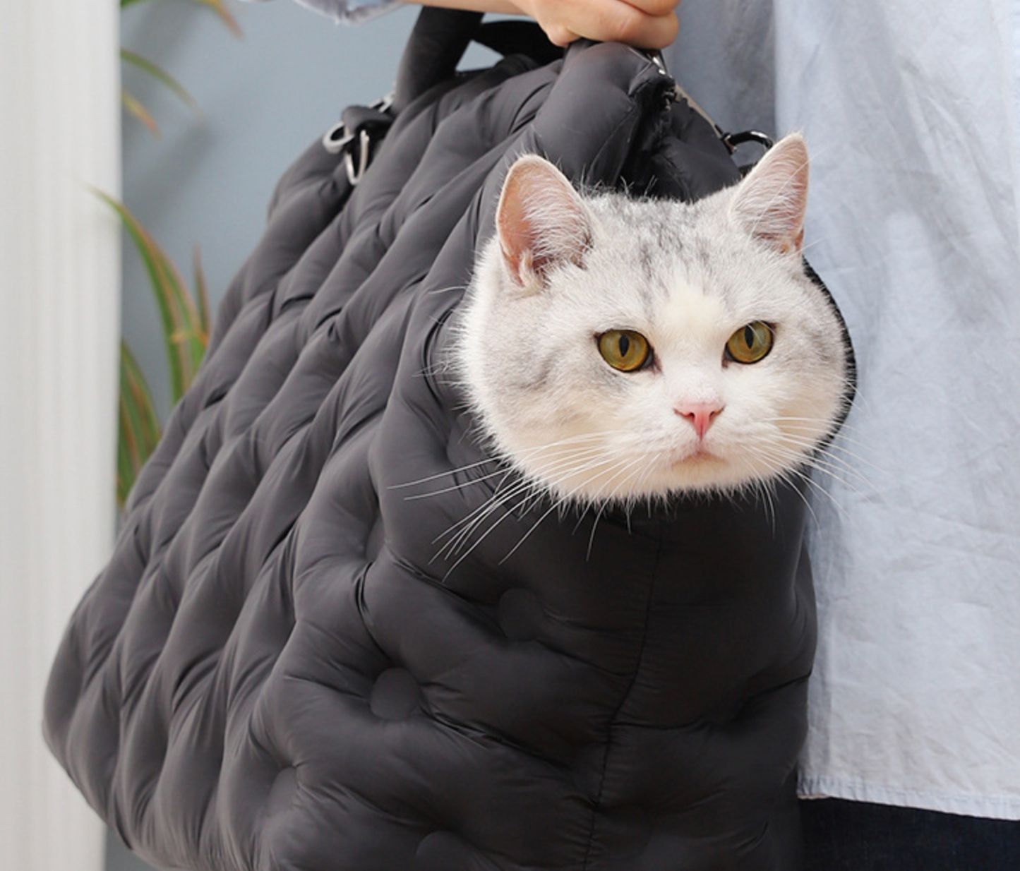 Chenpet Wholesale New Design Pet Outside Carrier Bags Dog Cat Cozy Bags