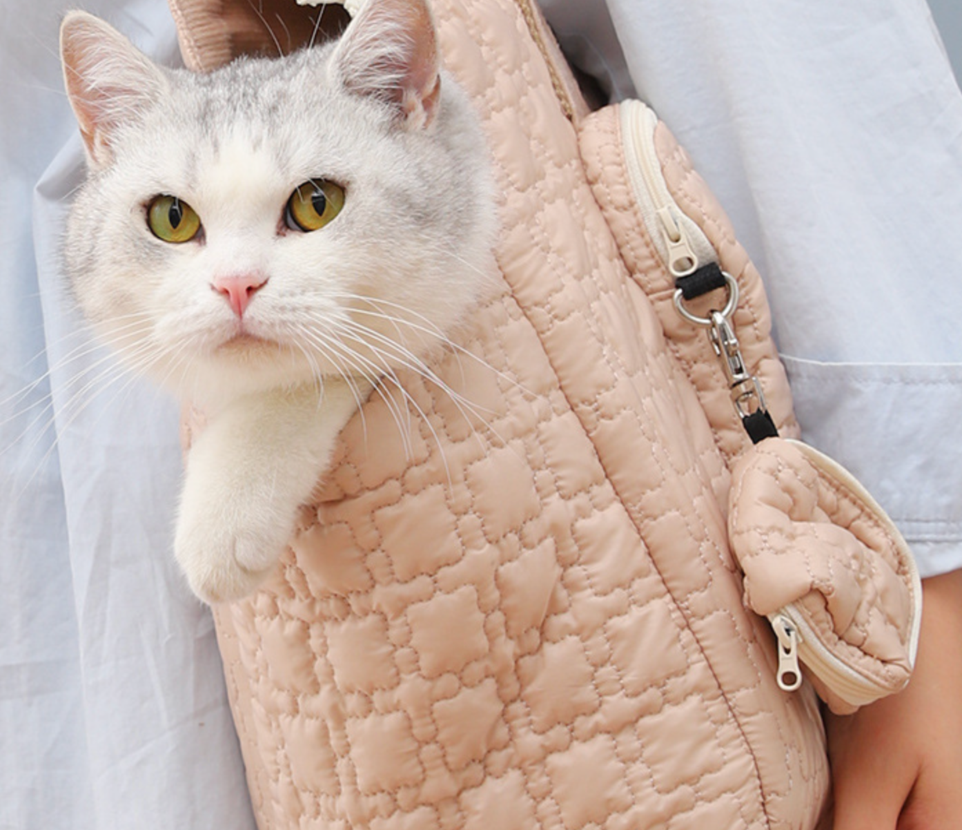 Chenpet Wholesale New Design Pet Outside Carrier Bags Dog Cat Cozy Bags
