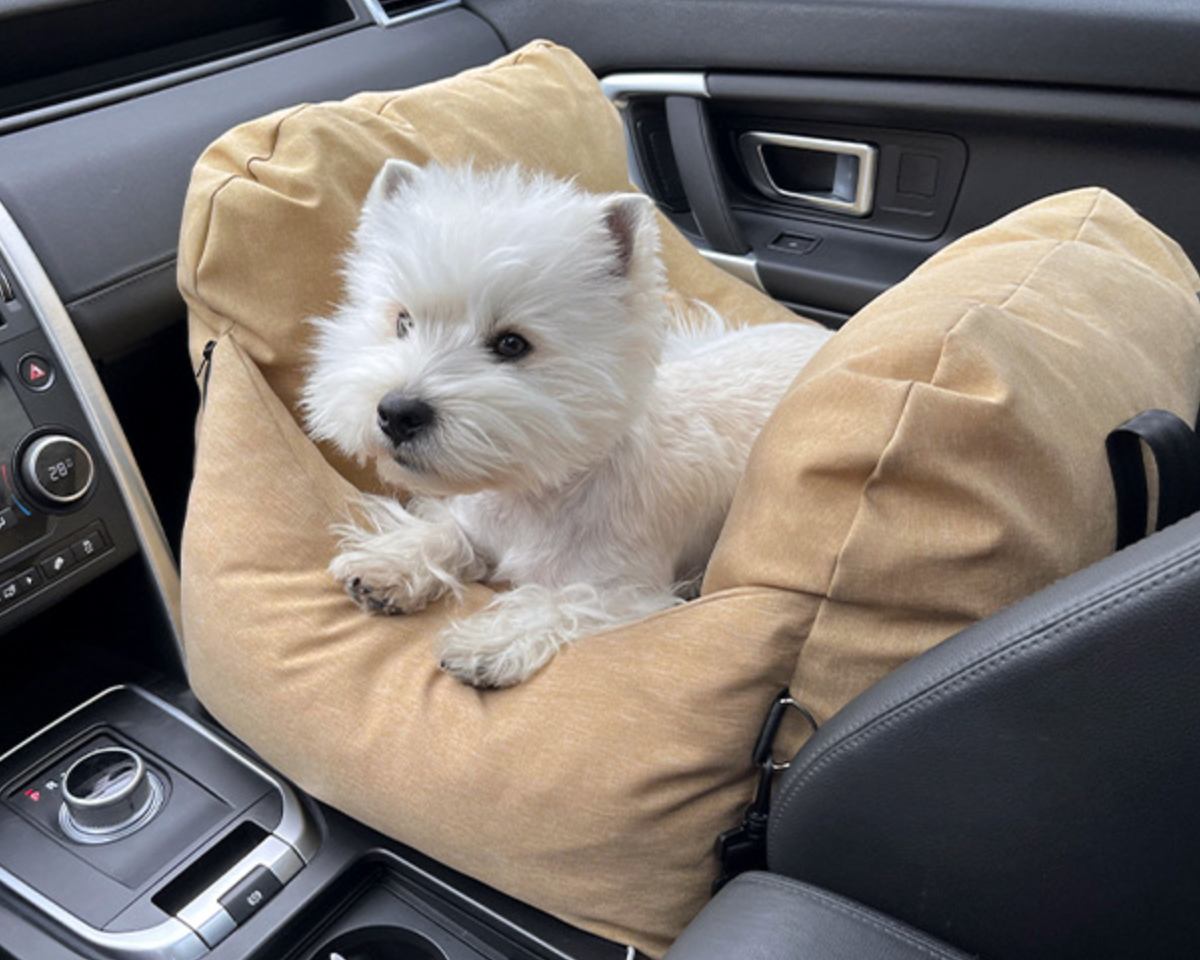 Chenpet Travelling Out Removable Pet Car Nest Portable Car Seat