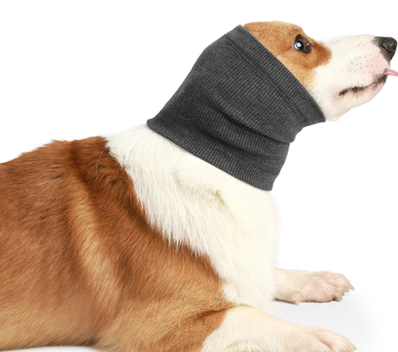 Chenpet Pet soothing Head Covering Warm Dog Earmuffs