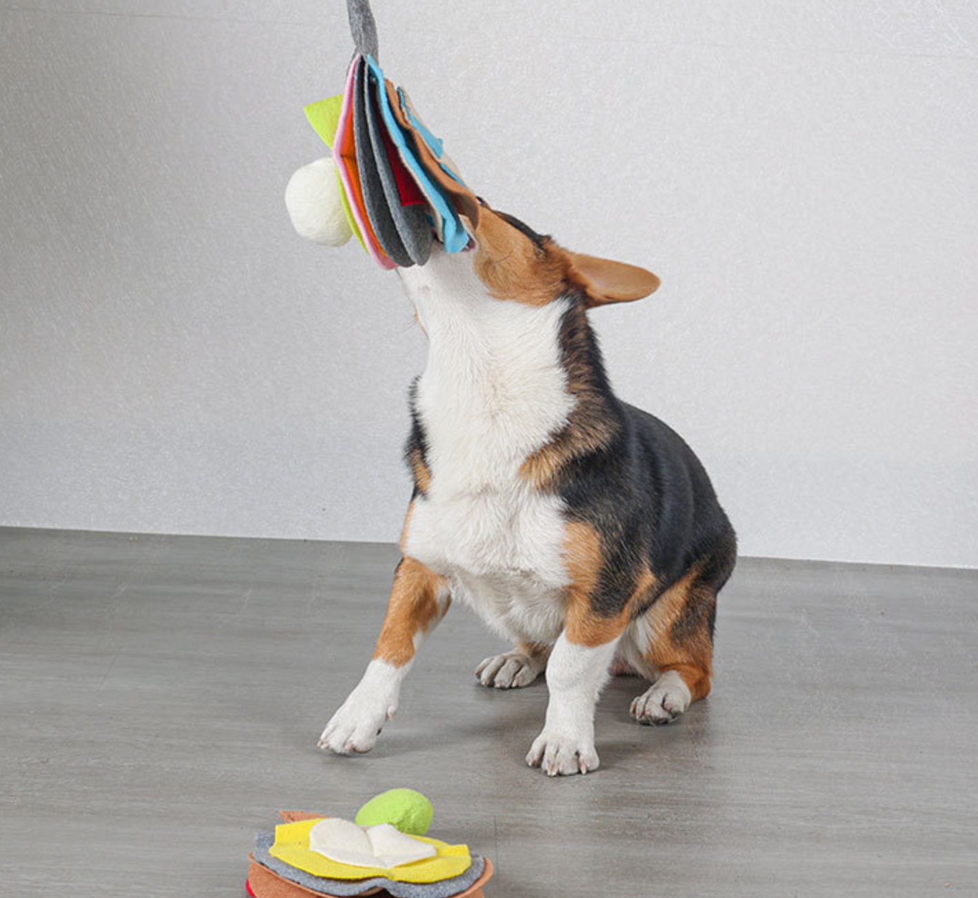 Chenpet Eco-Friendly New Design Ping-Pong Snuffle Pet Toys