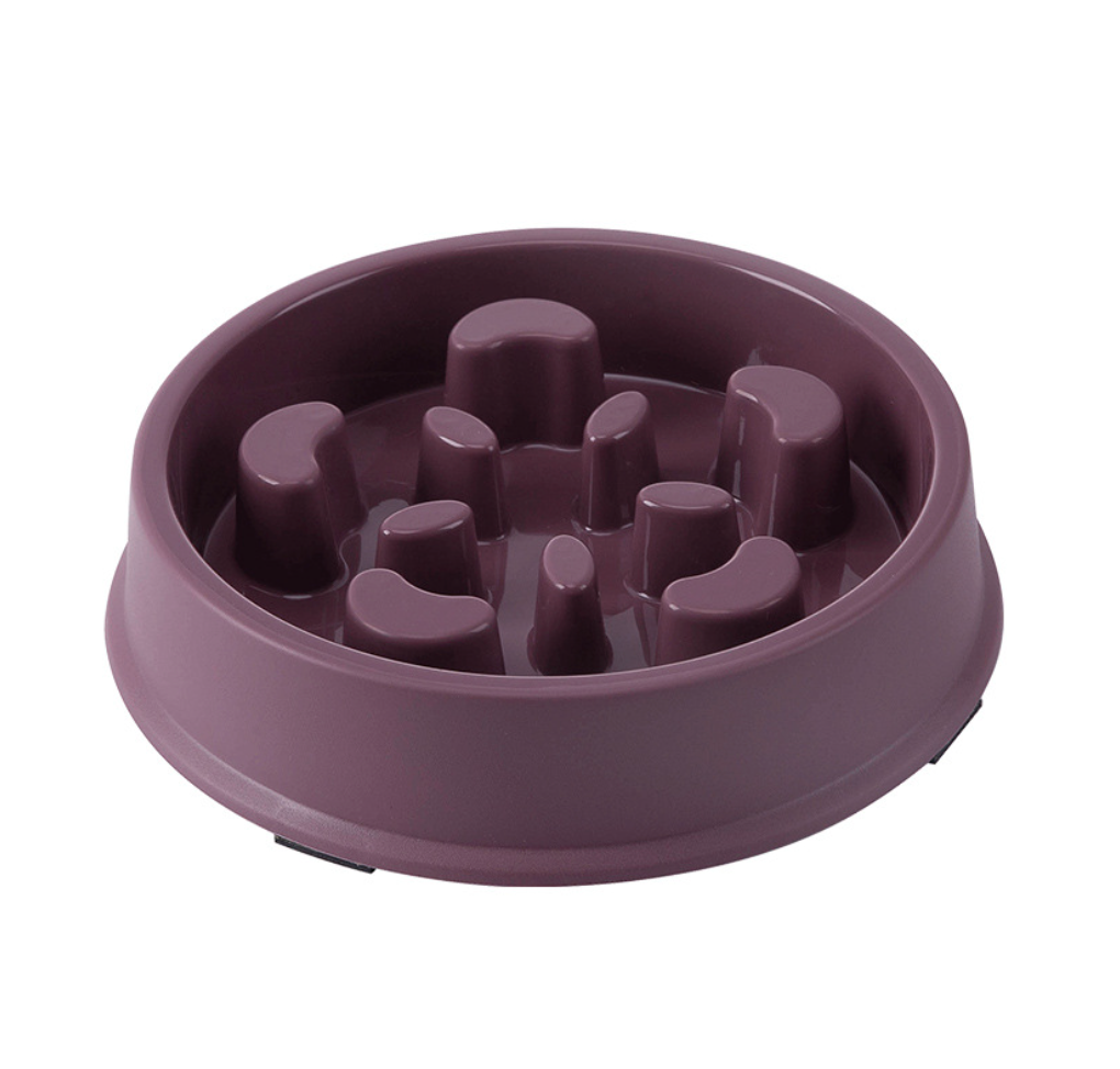 Chenpet Petal Shaped Puzzle Leak Proof Pet Slow Food Bowl