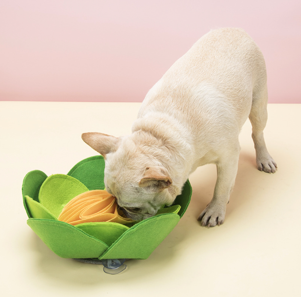 Chenpet Eco-friendly Felt Flower Design Puzzle Pet Mats Dog Mats